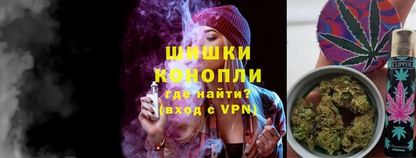 гидра Вязьма