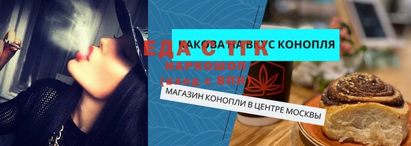 гидра Вязьма
