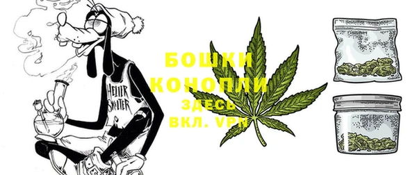 шишки Вяземский