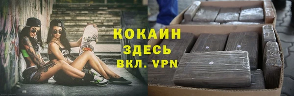 гидра Вязьма