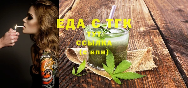 гидра Вязьма