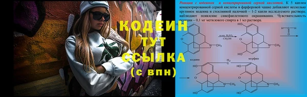 шишки Вяземский