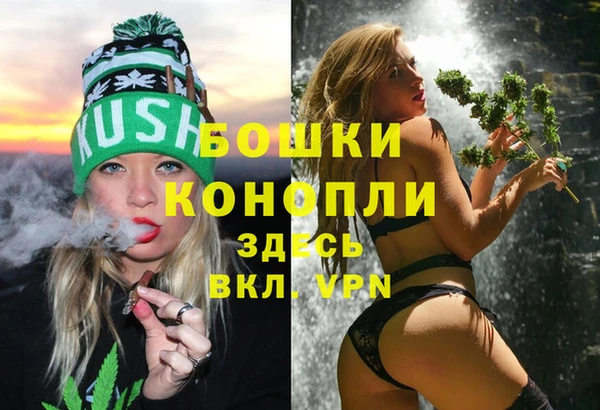 шишки Вяземский