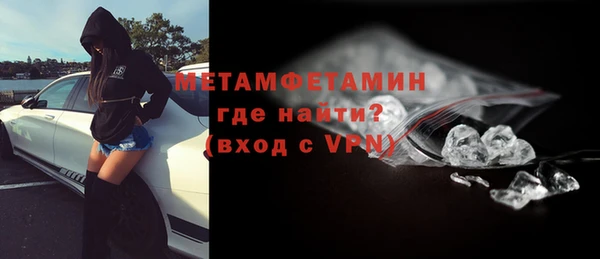 гидра Вязьма