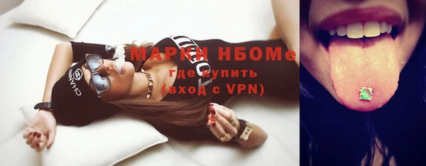гидра Вязьма