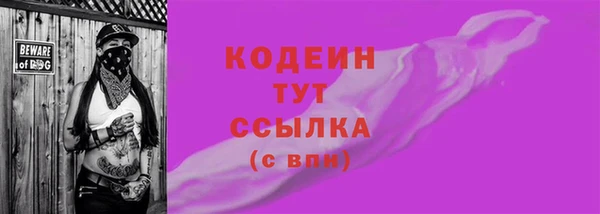 шишки Вяземский