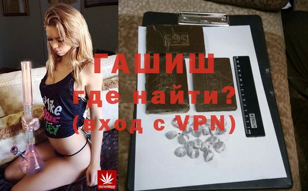 гидра Вязьма