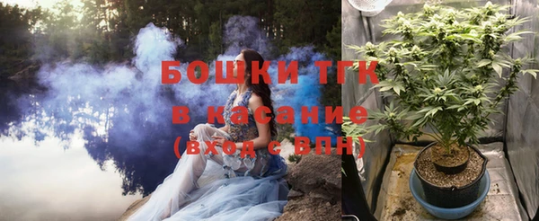 шишки Вяземский