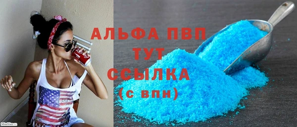 гидра Вязьма