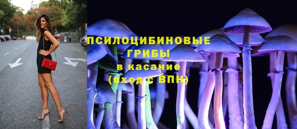 шишки Вяземский