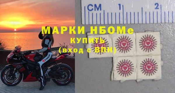 гидра Вязьма