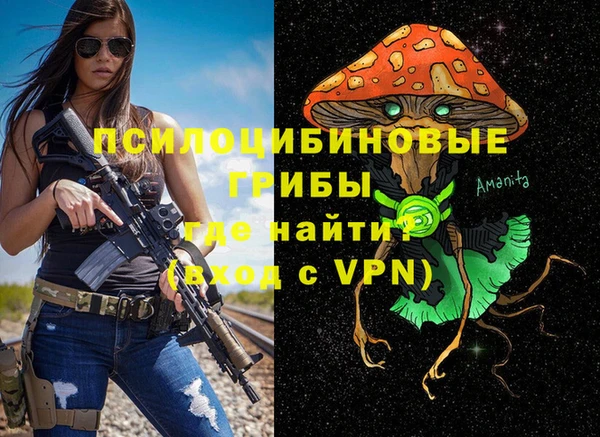 гидра Вязьма