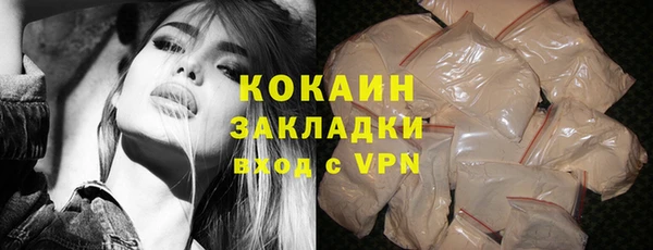 шишки Вяземский